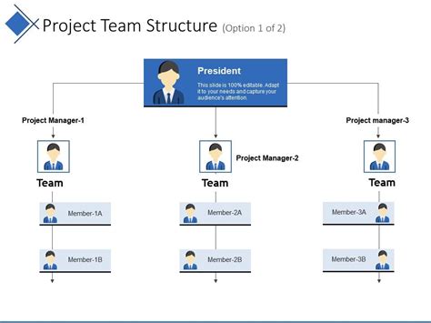 Project Team Structure Example Of Ppt Presentation Powerpoint Slides