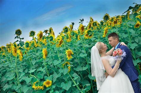 Free Images Flower Summer Love Couple Romance Yellow Together