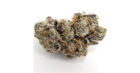 Coochie Runtz Marijuana Strain Information & Reviews | AllBud
