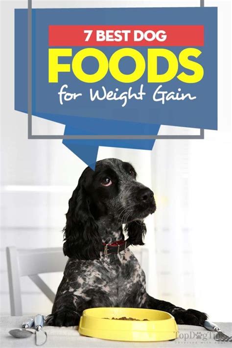 Check spelling or type a new query. Pin on Dogs things