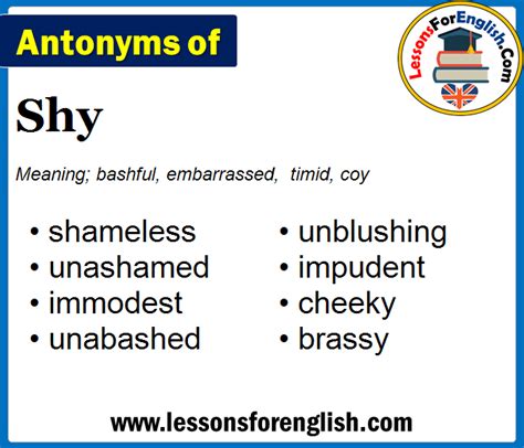Antonyms Of Shy Opposite Of Shy In English Lessons For English