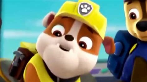 Paw Patrol Full Episodes Pups Save The Penguins Pups Save The Parrot