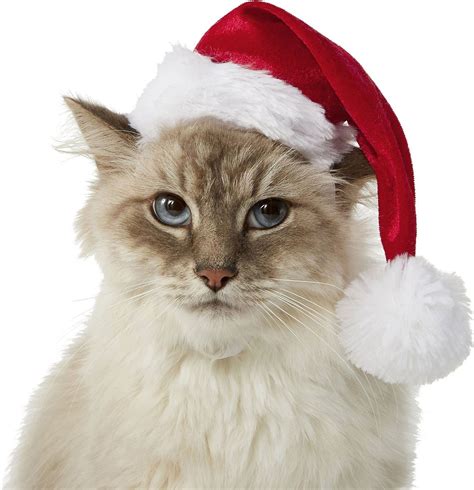 Frisco Deluxe Holiday Dog And Cat Santa Hat X Smallsmall