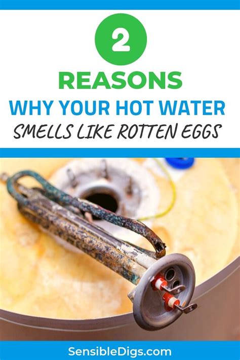 2 Reasons Why Your Hot Water Smells Like Rotten Eggs Rotten Egg Hot