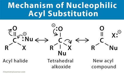 Nucleophilic Acyl Substitution Definition Example Mechanism