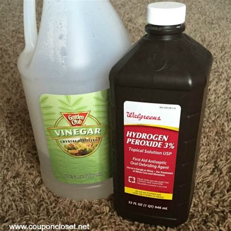 Hydrogen peroxide is the only germicidal agent composed only of water and oxygen. 7 Hydrogen Peroxide Cleaner Recipes That Will Clean ...