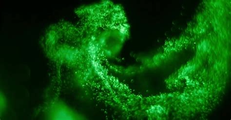 Magical Green Wave Vortex By Zulkars On Envato Elements