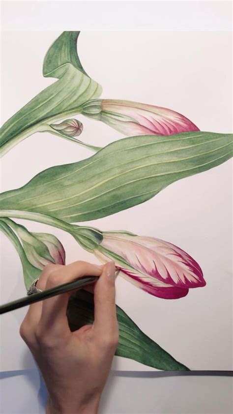 Diana Stanga Watercolour Floral Illustration Video Watercolor Flower Art Flower