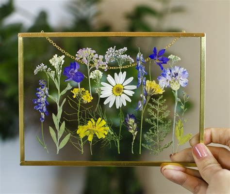 Framed Pressed Flowers Pressed Flower Frame Art Floating Frame Dried
