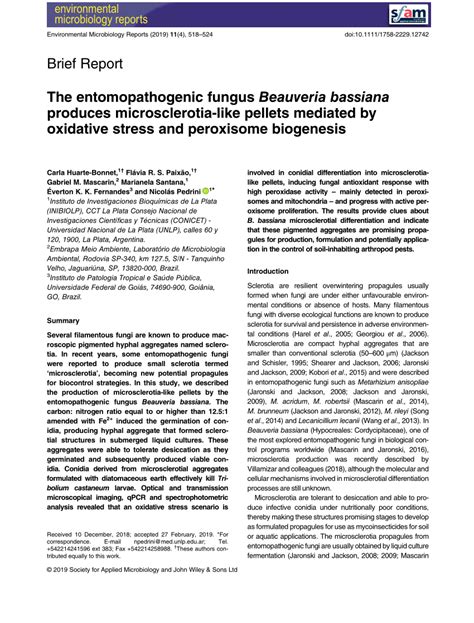PDF The Entomopathogenic Fungus Beauveria Bassiana Produces Microsclerotia Like Pellets