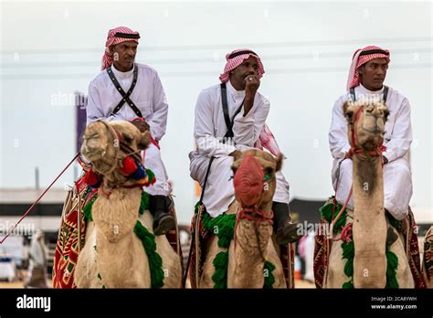 Saudi Arab Camel Riders With Their Camels On Traditional Desert Safari Festival In Abqaiq Saudi