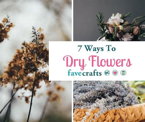 How to air dry flowers. How to Dry Flowers 7 Ways | How to preserve flowers, How ...