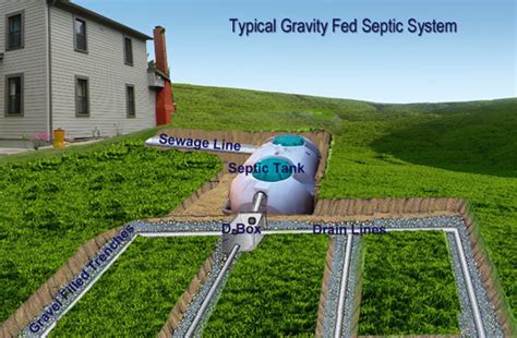 In a duplex septic tank pump system, (shown in photo ) sounding of the septic alarm indicates that you're running on the backup pump. Septic System Drain Field Soil Restoration SYSTEM BASICS