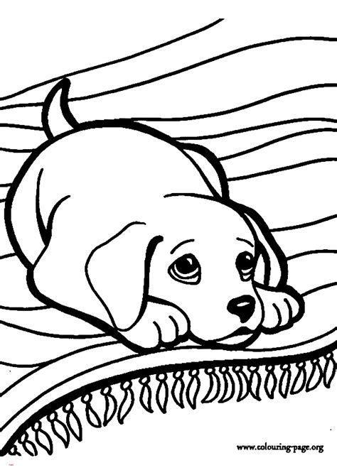 34 Superbe Concept Coloriage De Chaton Trop Mignon A Imprimer for
