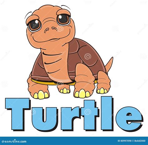Turtle Word Stock Illustrations 495 Turtle Word Stock Illustrations