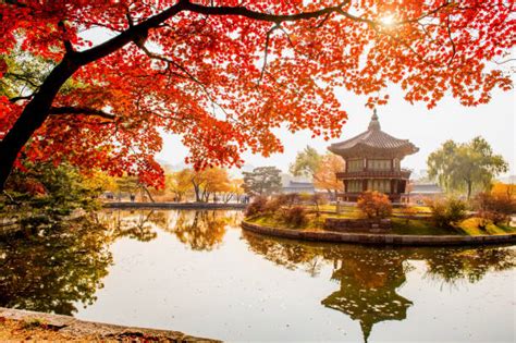 The instagrammable guide to fall leaves in seoul, korea. Changdeokgung Palace Stock Photos, Pictures & Royalty-Free ...