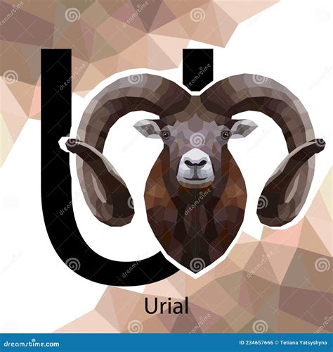 U Letter Animals Set English Alphabet Urial Vector Illustration