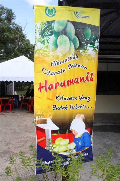 Harum manisnya si mangga harum manis perlis. PES TOMYAM BRAND MADAM PUM: Info Mangga Harum Manis Perlis