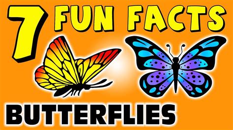 7 Fun Facts About Butterflies Butterfly Facts For Kids Learning