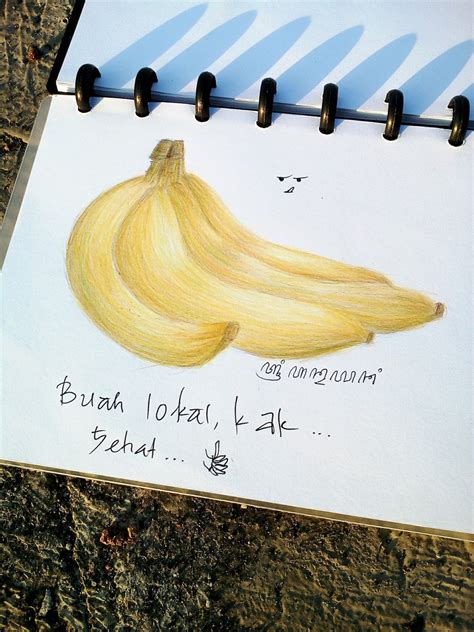 Sketsa Buah Pisang (Belajar Shading)