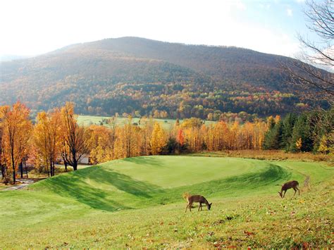 sunny hill resort and golf course great northern catskills of greene county