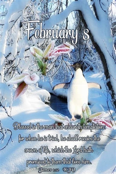 February 8 Day Snow Month Good Morning Blessings Beautiful Good Morning