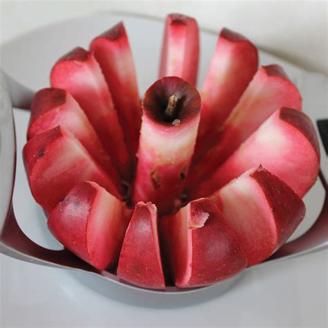 Redlove Odysso Red Fleshed Apple Dwarf Apples Jung Seed Company