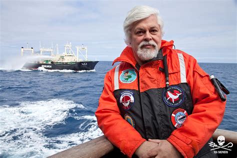 Sea Shepherd Uk Sea Shepherd Welcomes The End Of Whaling In The
