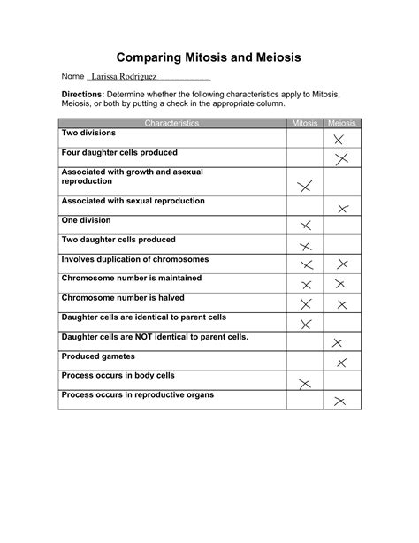 Mitosis Meiosis Comparison Worksheet