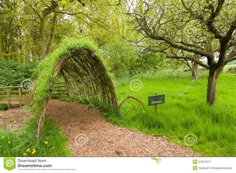 Green Tunnel Stock Photo Image Of Arch Leaf Grass 31607214