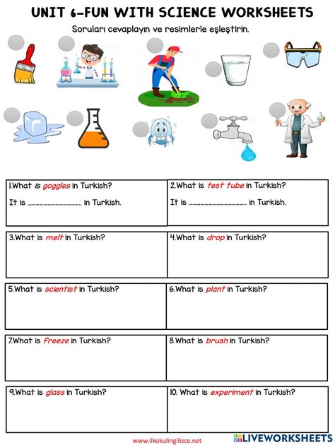 fun  science worksheets worksheet