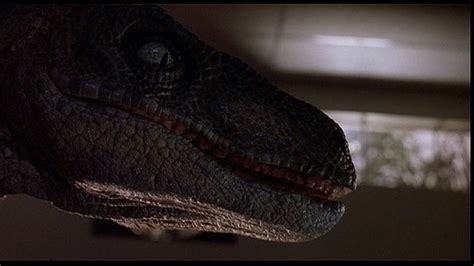 Sold Price Velociraptor Eye From Jurassic Park October 4 0115 11