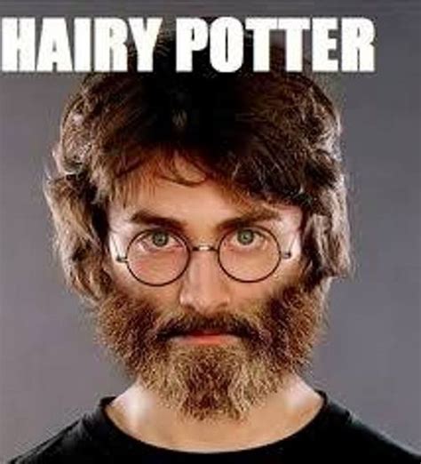 Hairy Potter Harry Potter Memes Harry Potter Puns Harry James Potter
