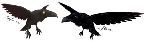 Raven Familiar Override At Blue Ancolia Sims 4 Updates