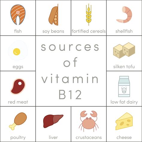 What You Need To Know About Vitamin B12 Blackmores