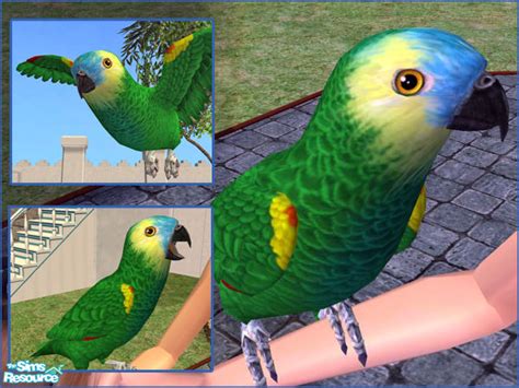Ladyminions Blue Front Amazon Parrot Best Sims Sims 1 Sims 4 Pets