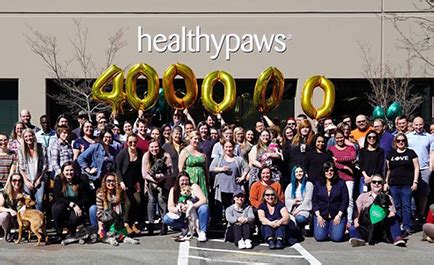 The differences lie in the details and fine. 2019 in Review: Healthy Paws' Top Favorites | Healthy Paws ...