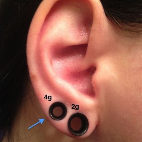Pin By Stonesnalien On Piercings Earings Piercings Guys Ear