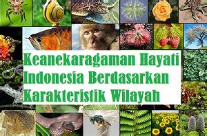 Keanekaragaman Hayati Indonesia Berdasarkan Karakteristik Wilayah
