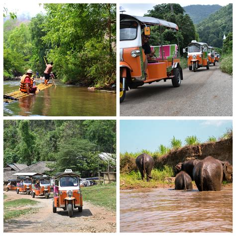 The most helpful contributions are detailed and help. Tuk Tuk driving adventure, an authentic way to explore ...