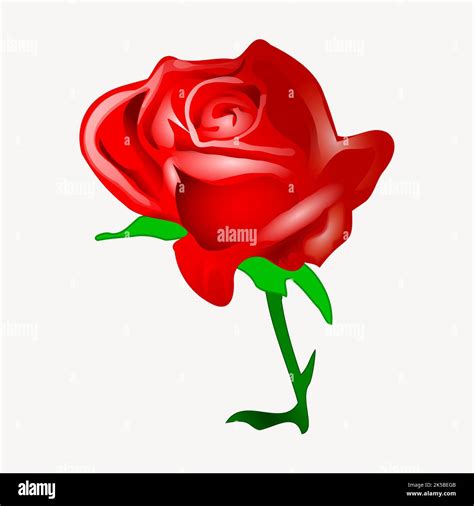 Red Rose Clipart Illustration Vector Stock Vector Image And Art Alamy