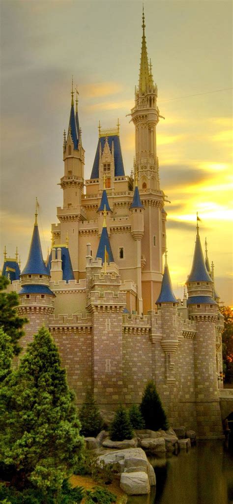 100 Disneyland Castle Baggrunde