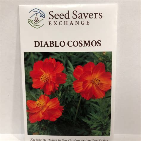 Diablos Cosmos Flower 400 Year Old Heirloom Firefly Farm And Mercantile