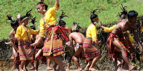 Culture And Practices The Kalinga Ethos Virily