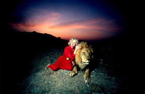 ‘tiger Queen Of Hollywood Tippi Hedrens Seemingly Domesticated Lion