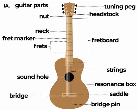 Uit Wat Voor Onderdelen Bestaan Een Gitaar Insideaudio