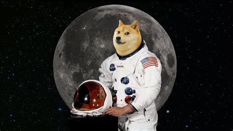 28 Doge Meme Wallpapers Wallpaperboat