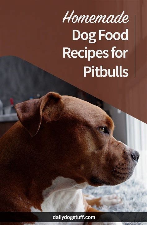 Unfortunately, the inclusion of many. Pit Bulls are large and energetic dogs that require a ...
