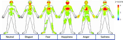Emotion Specific Bodily Sensation Map Significant Patterns Of Bodily
