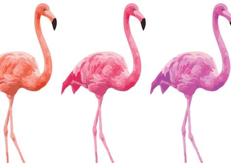 Rainbow Flamingo Art Digital Download Tropical Animal Wall Etsy